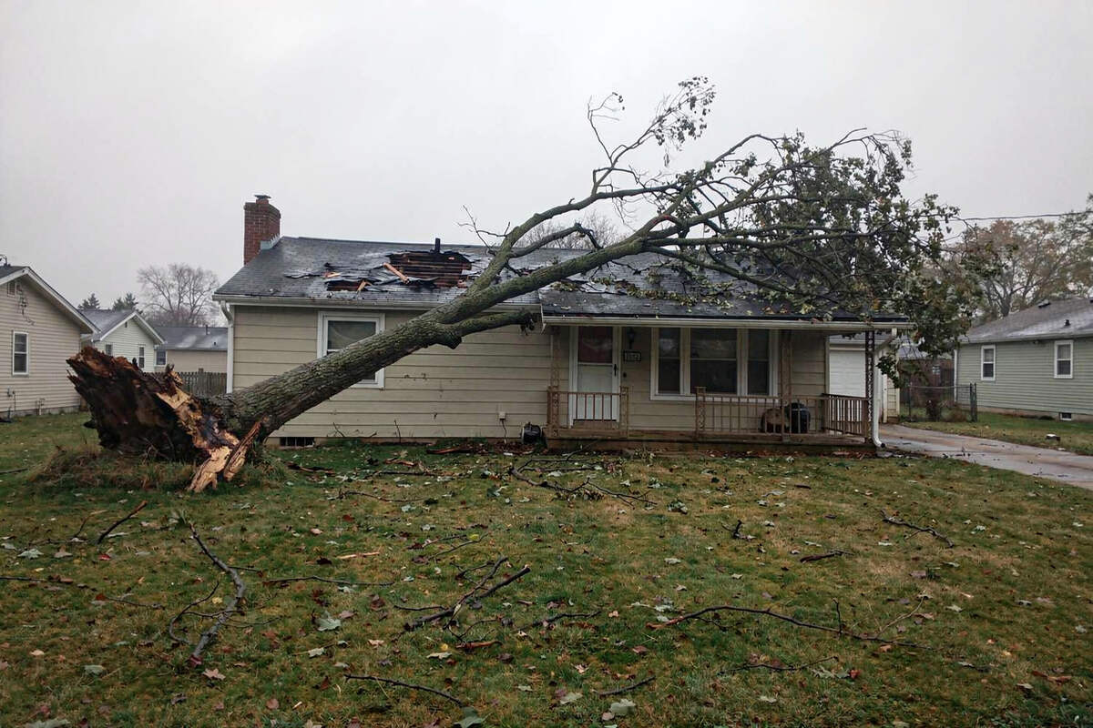 A fallen tree rests on a roof after a storm.