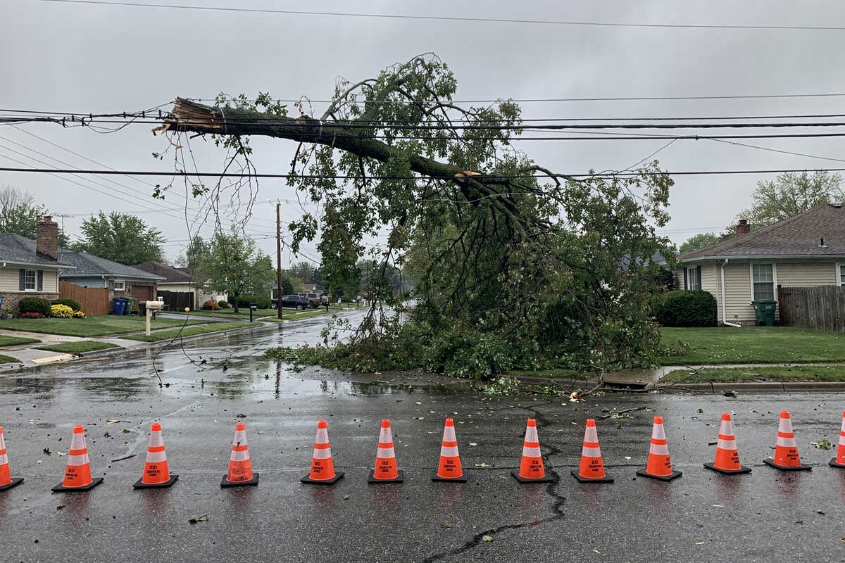 A fallen branch lies near utility lines in a closed-off street.